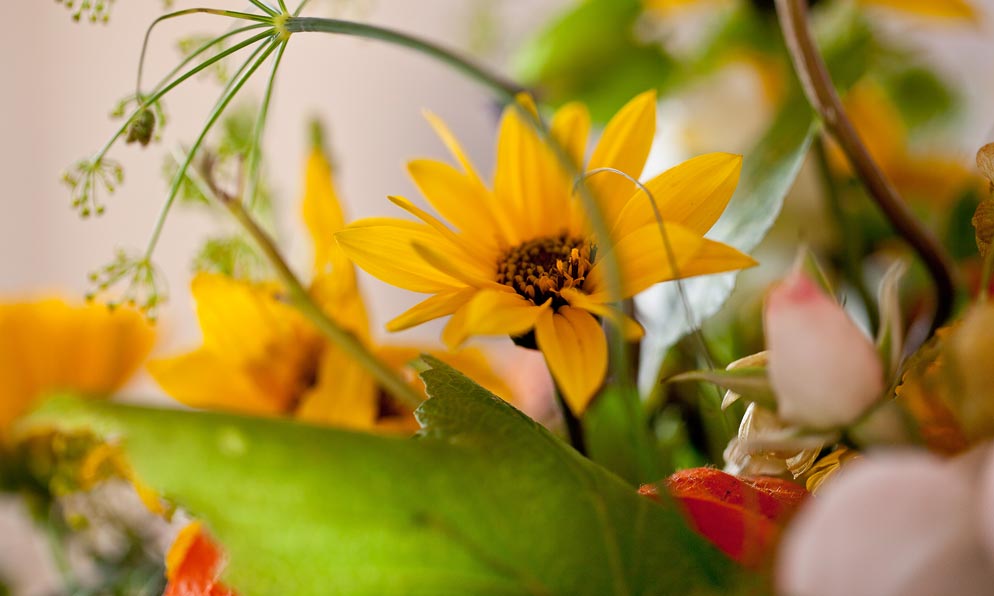 Angebote