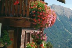 Haus Sommer