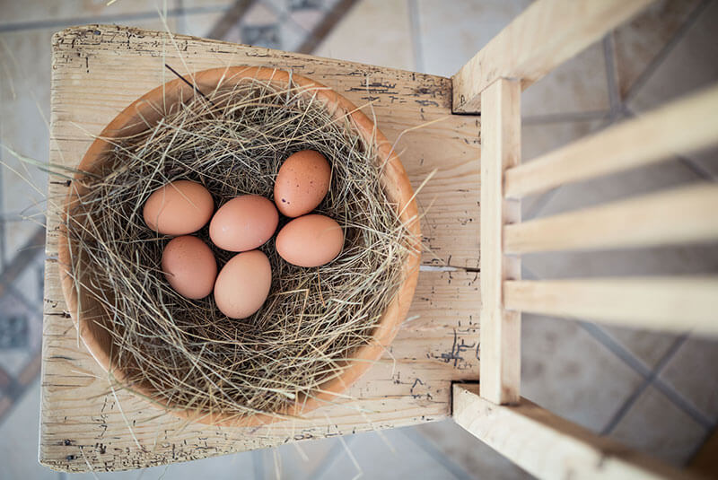 Eier in Nest