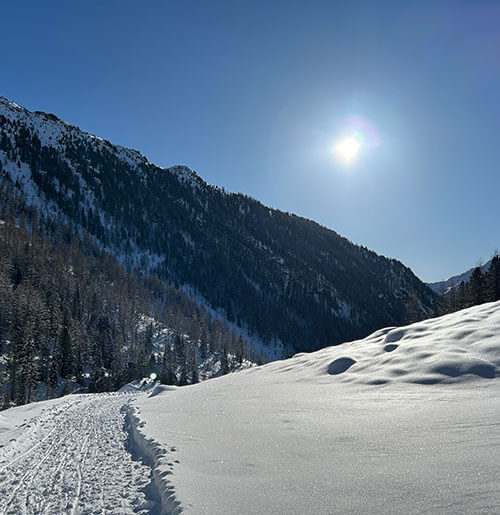 Schneeweg