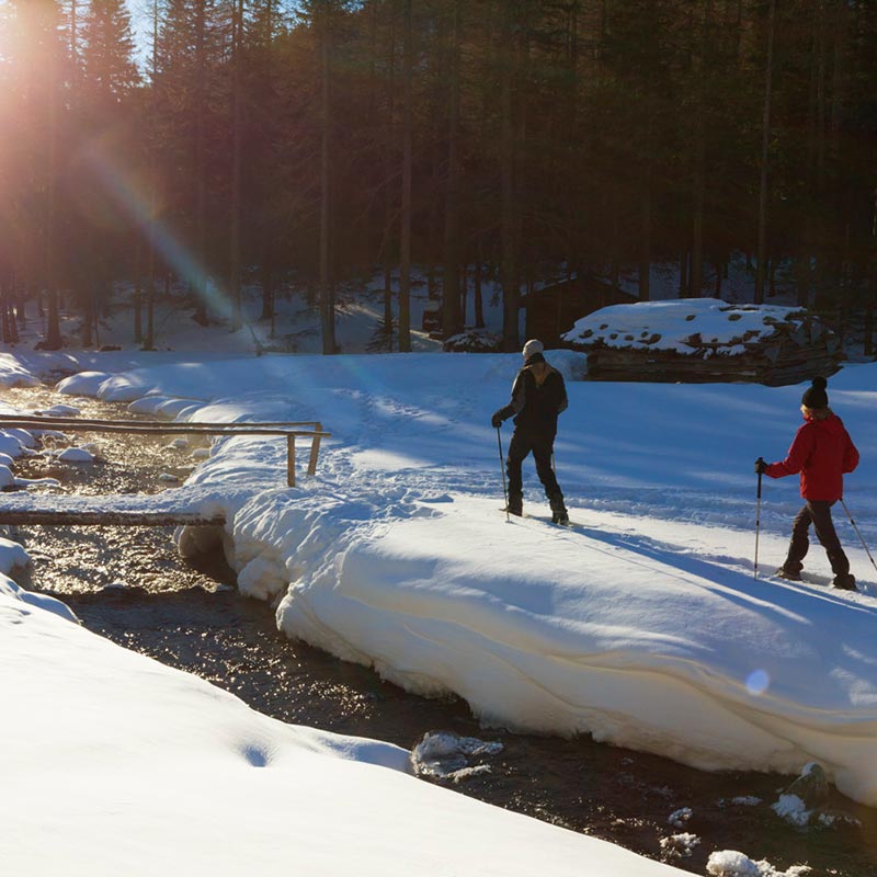 Winter excursion