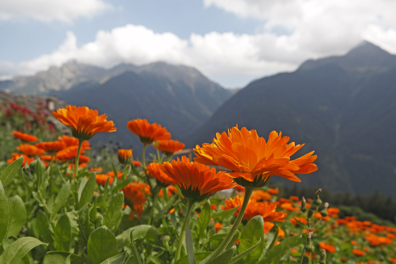 Kurzurlaub im Ultental